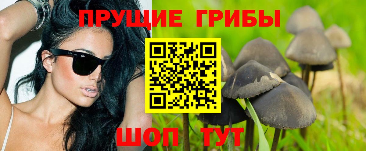 Псилоцибиновые грибы ЛСД Новокуйбышевск